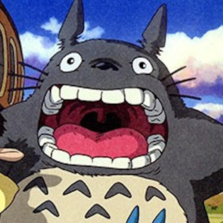 Totoro face detail crop before image upscaling